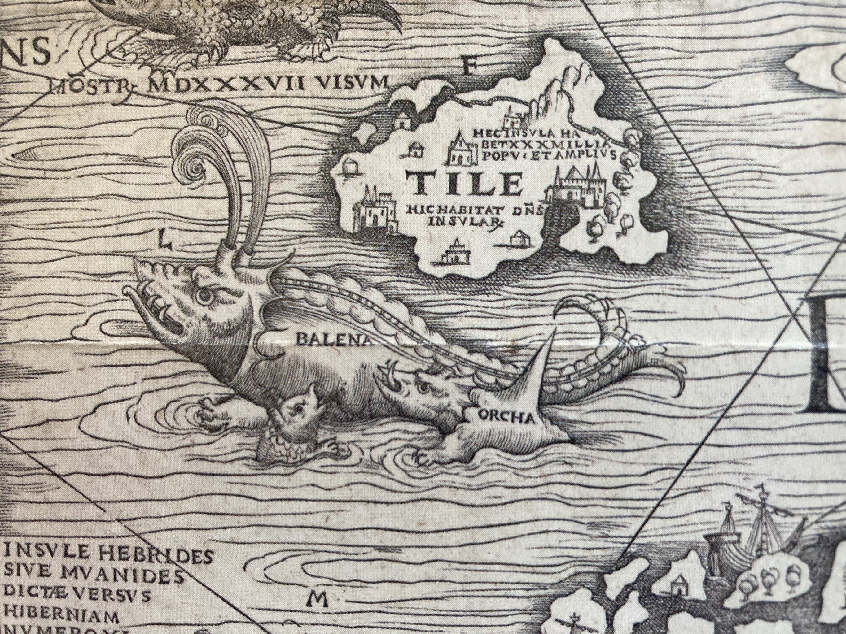 Detail from Olaus Magnus’ Carta Marina. Babbler is probably as far to Realtalk as this depiction of a whale and orca is from the actual animals.